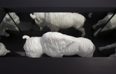 "Buffalo Burial Box"  May 30, 2020