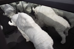 "Buffalo Burial Box"  May 30, 2020