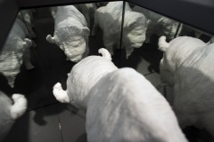 "Buffalo Burial Box"  May 30, 2020