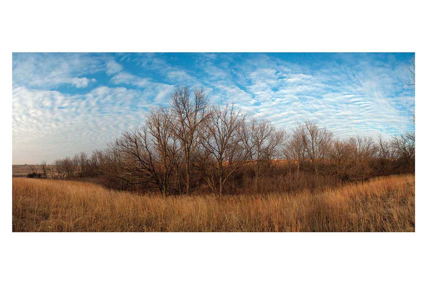 Gage County, Nebraska, December 19, 2010